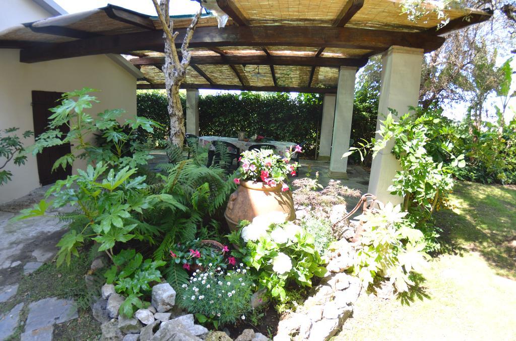 Casa Romana Viareggio Exterior photo