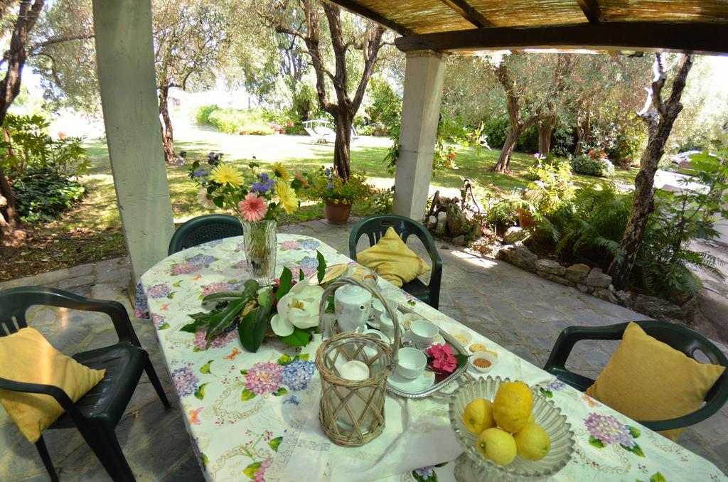 Casa Romana Viareggio Exterior photo